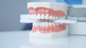 Dental services at Turners Falls Dental in Turners Falls, MA